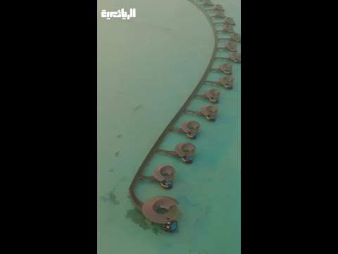 فيجا يختار البحر الأحمر