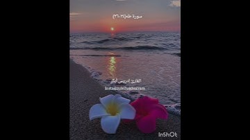 سورة طه بصوت الشيخ إدريس أبكر..... Surah Taha by Sheikh Idress Abkar ..ربي اشرح لي ويسر لي أمري