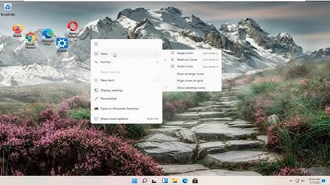 Windows 11 Desktop Icon Spacing [Tutorial]