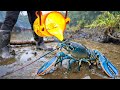 Experiment: Lava vs Lobster!