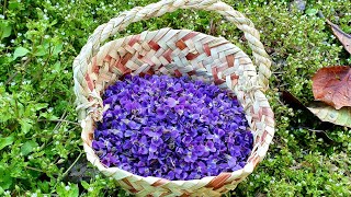 Menekşe Reçeli Tarifi Bənövşə Mürəbbəsi̇ni̇n Hazirlanmasi How To Make Violet Flower Jam