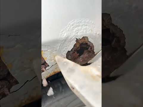 فعلا ادي العيش لخبازه شاهد كيف يتم سمكرة السيارات بالخارج