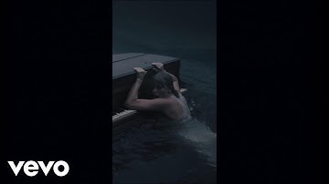 cardigan (Vertical Video)