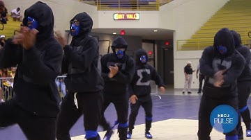 Phi Beta Sigma FVSU Alpha Pi Chapter Spring 2019 Probate