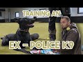 Training real dogs 