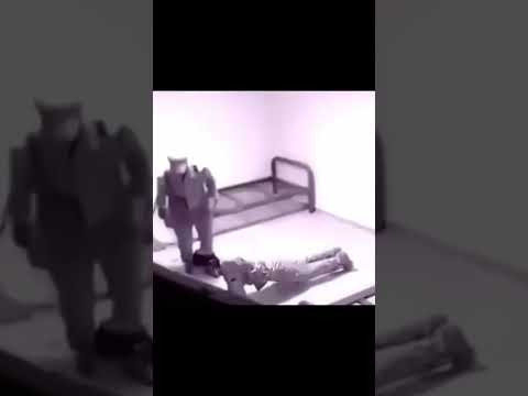 هيا انهض الجيش السعودي