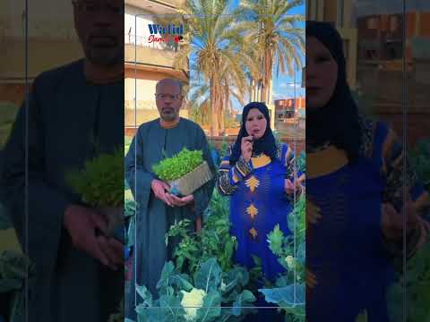 زوجان ريفيان لم يمتلكا أرض زراعية فعوضا ذلك بزراعة سطح منزلهم ليتحول إلى حقل زراعي بالخضراوات