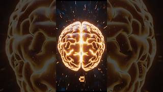 You Only Use 10% Of Your Brain Myth #facts #brain #myths #shorts