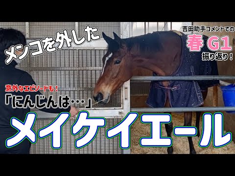 【食の好みは】メンコを外したメイケイエール【独特の世界観】