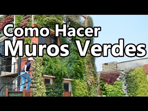 Vídeo: Las Mejores Paredes Verdes Del Mundo