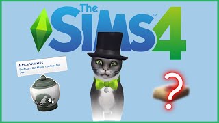 In Memory Of Mayor Whiskers