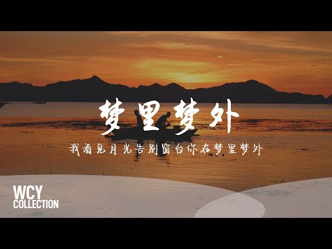 糯米Nomi - 梦里梦外 [我看见月光告别窗台你在梦里梦外] 【動態歌詞/pīn yīn gē cí】