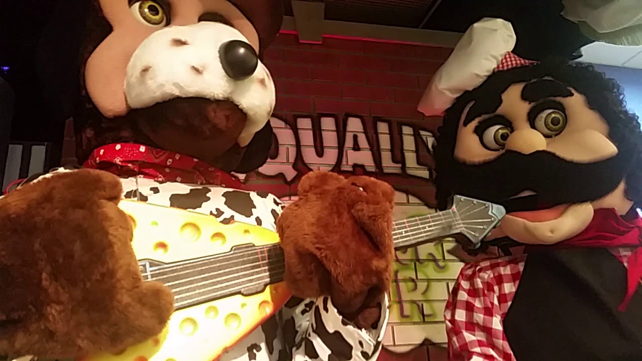 Chuck E Cheese Waterbury Connecticut - Cat Sitting