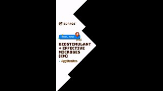 EDAFOS™ PlantGrowth™ Effective Microorganisms (EM): A Practical Guide on The Application and Usage