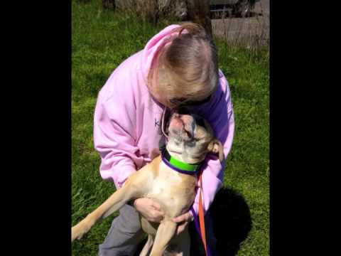 Kindred Hearts Transport Connection Success Stories