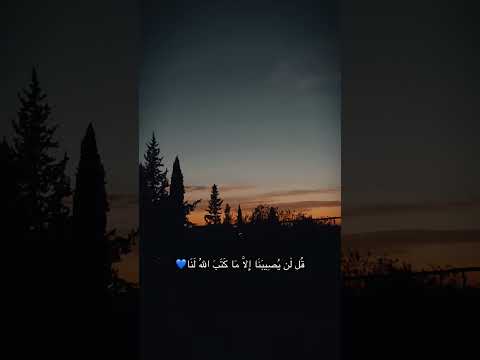 تعلمت ان قلقي لا يغير قدري فهدأت نفسي نفيسه الحمدلله اكسبلور اقتباسات لايك تصميمي الجزائر