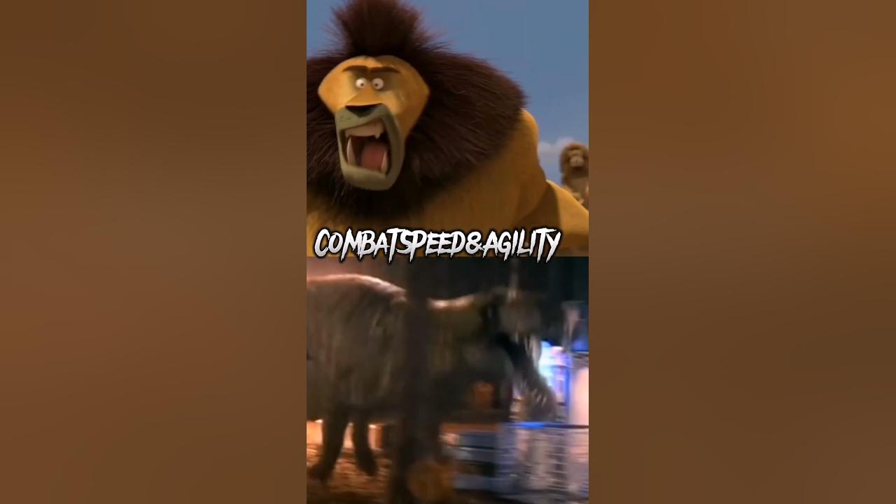 TEETSI VS GORGONOPSID primeval madagascar primal shorts YouTube teetsi-vs-gorgonopsid-primeval-madagascar-primal-shorts-youtube