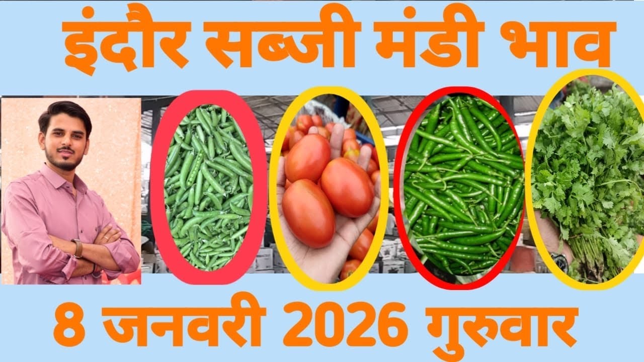 8 January 2026 मटर की हालत खराब 😭 तो भिंडी मे तेजी ❤️‍🔥 // sabji mandi indode (mp) // सब्जी मंडी 
