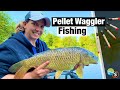 Pellet Waggler Fishing For Carp In Summer