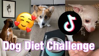 Most liked Dog Diet Challenge TikToks [mostliked #8] (TikTok compilation 2020)