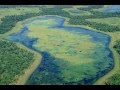 PANTANAL, BRASIL - Tema da Novela "Pantanal"