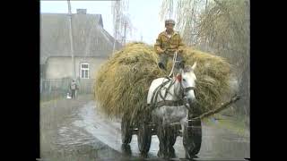 картинка: Життя в горах Закарпаття. Відео 90Х років