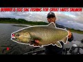 Fall Salmon Madness: Bobber Drops & Spawn Sac Tricks for BIG Kings!