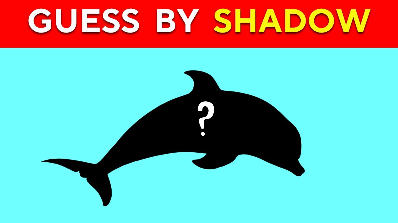 Only 1% Can Identify All These Shadows! 🏆 | Shadow Quiz Challenge
