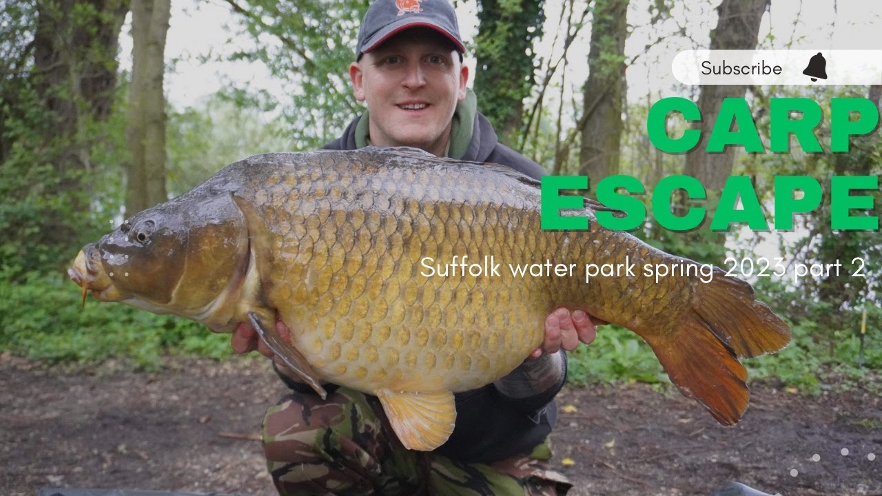 Suffolk water park | Spring campaign pt2 | CARP ESCAPE | Carp fishing 2023