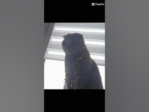 красавчик - YouTube