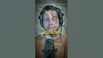 Exploring New Product Ideas for Company Growth