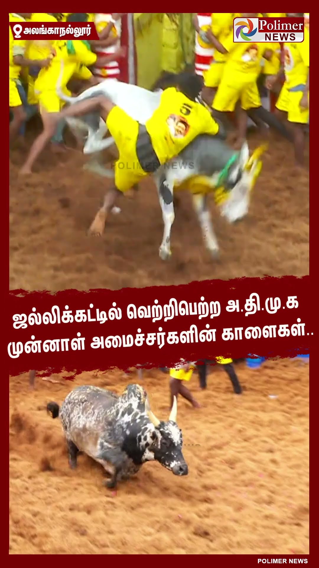 ஜல்லிக்கட்டில் வெற்றிபெற்ற அ.தி.மு.க முன்னாள் அமைச்சர்களின் காளைகள்.. #shorts