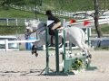 Eventing the farm at windy knoll