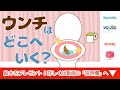 【絵本 読み聞かせ】ウンチはどこへいく？／トイレを流したらウンチはどこへ行くか知ってる？学べる読み聞かせ絵本