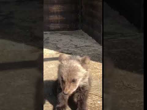 Маша в «Станьково»