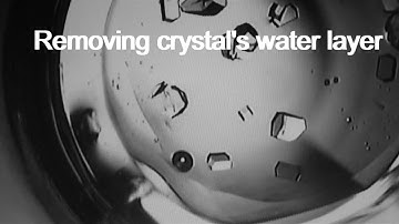 XRD data from physiological-temperature protein crystals