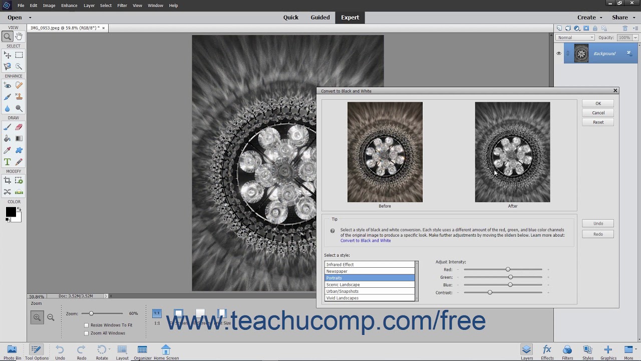 Photoshop Elements 2020 Tutorial Convert to Black and White Adobe ...