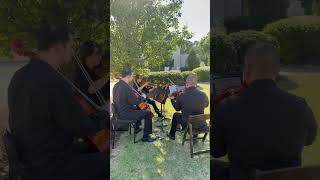 “The Fate of Ophelia” (Taylor Swift) | String Trio Wedding Music NC