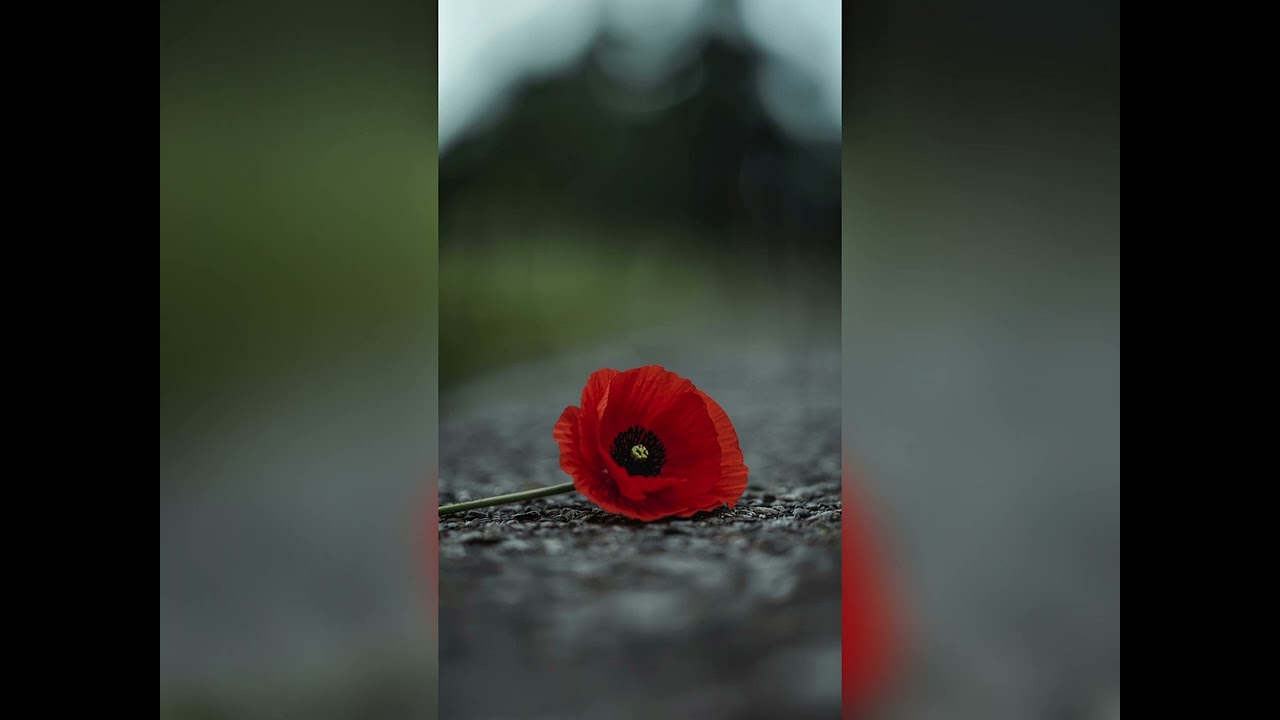 Romantic Malencholic Piano 