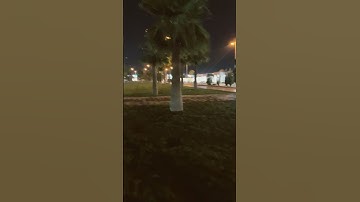تلاوة جميله بصوت الشيخ ماهر المعيقلي امام الحرم المكي