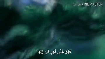 فويل للقاسية قلوبهم من ذكر الله - سورة الزمر -   اجمل ايات الله❣🥺