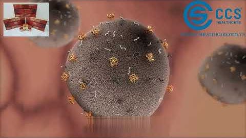 Tác dụng của Tinh dầu thông đỏ - Thần dược Hàn quốc - CCS Healthcare