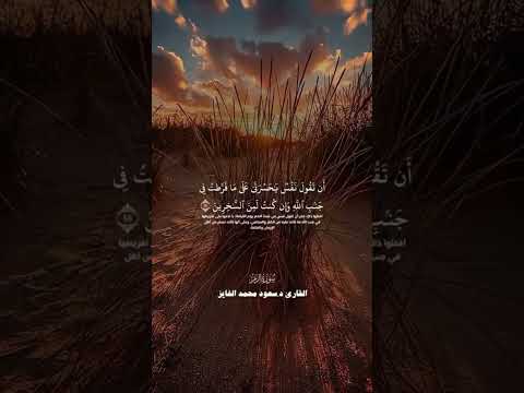 قران كريم اكسبلور تيك توك المصحف لايك قرآن تصميمي