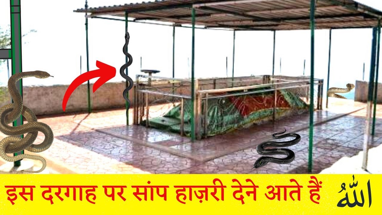 मामा भांजा दरगाह जहा सिर्फ इंसान है नहीं जानवर भी सजदा करने आते है|| Mama bhanja dargah|| Hindipack