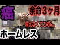 【末期がん】余命宣告を受けたホームレスと手術できるか聞きに行ったらとんでもない結果に…〜再び告げられる余命宣告、路上生活者の男性が選んだ道とは〜