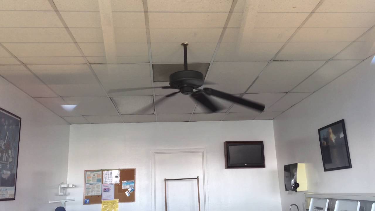 52" HB Farmington Ceiling Fan in a Laundromat YouTube