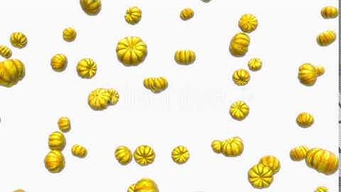 Infinite Rain of Sweet Dumpling Squash on White | Motion Graphics - Envato elements