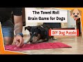 Nose & Brain Games for Dogs: The towel roll - Easi DIY interactive dog game and puzzle