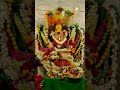 9th day of varahi navarathrulu🙏🙏🙏🙏🙏...... #subscribe #vlogs #varahi #varahidevi #trending #god