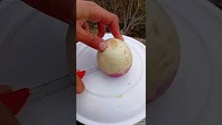 Tl 71002001 Mini Rotary Tillage And Ridging All-In Two Hundred Seventy One Tree